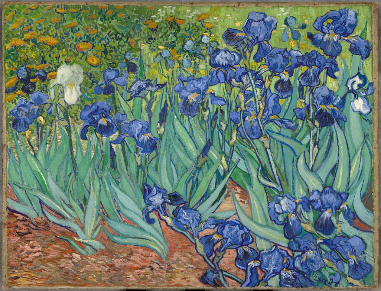 Iris de Vincent van Gogh