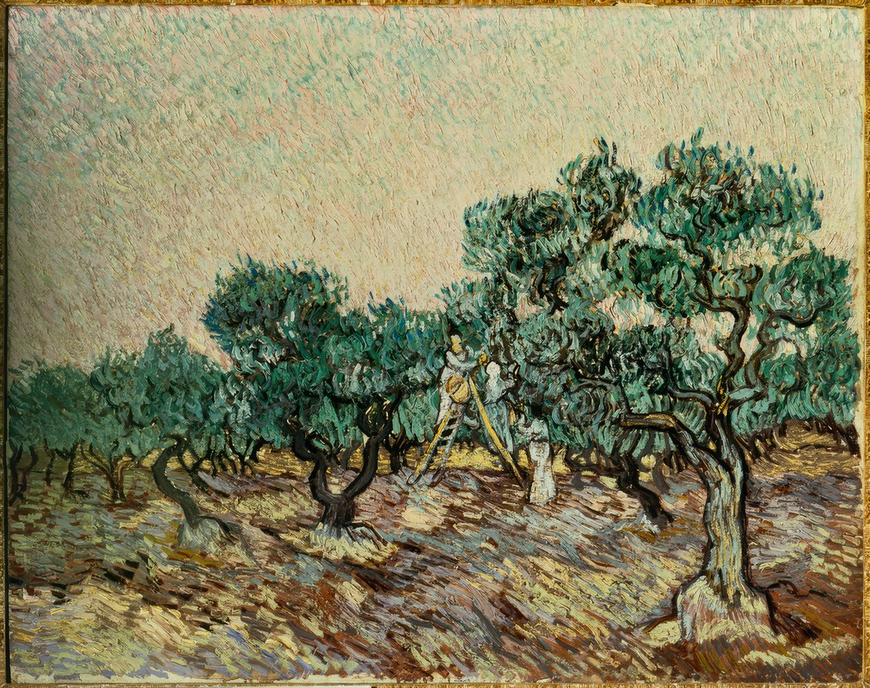Recolectores de aceitunas de Vincent van Gogh