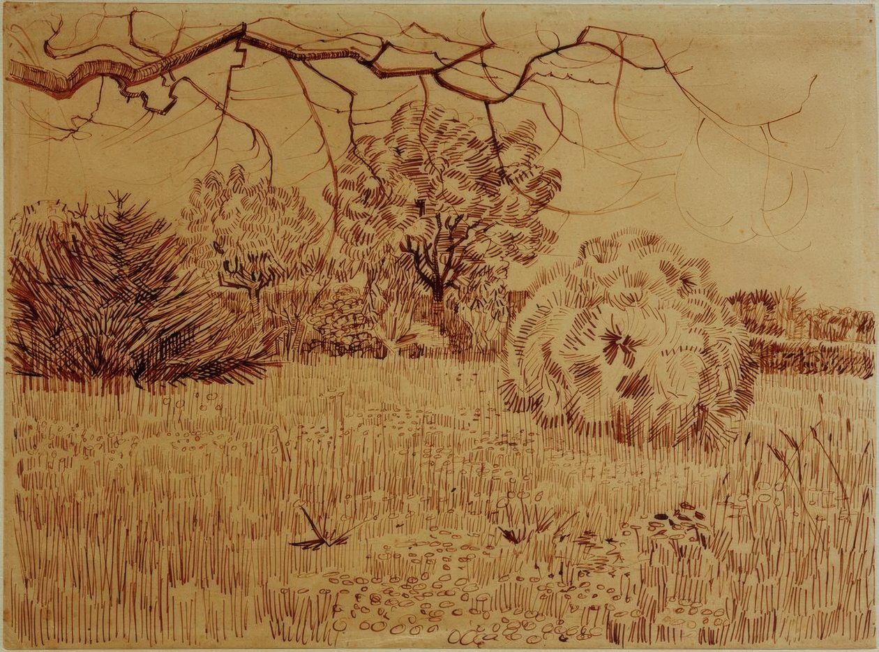 Parque con arbusto de Vincent van Gogh