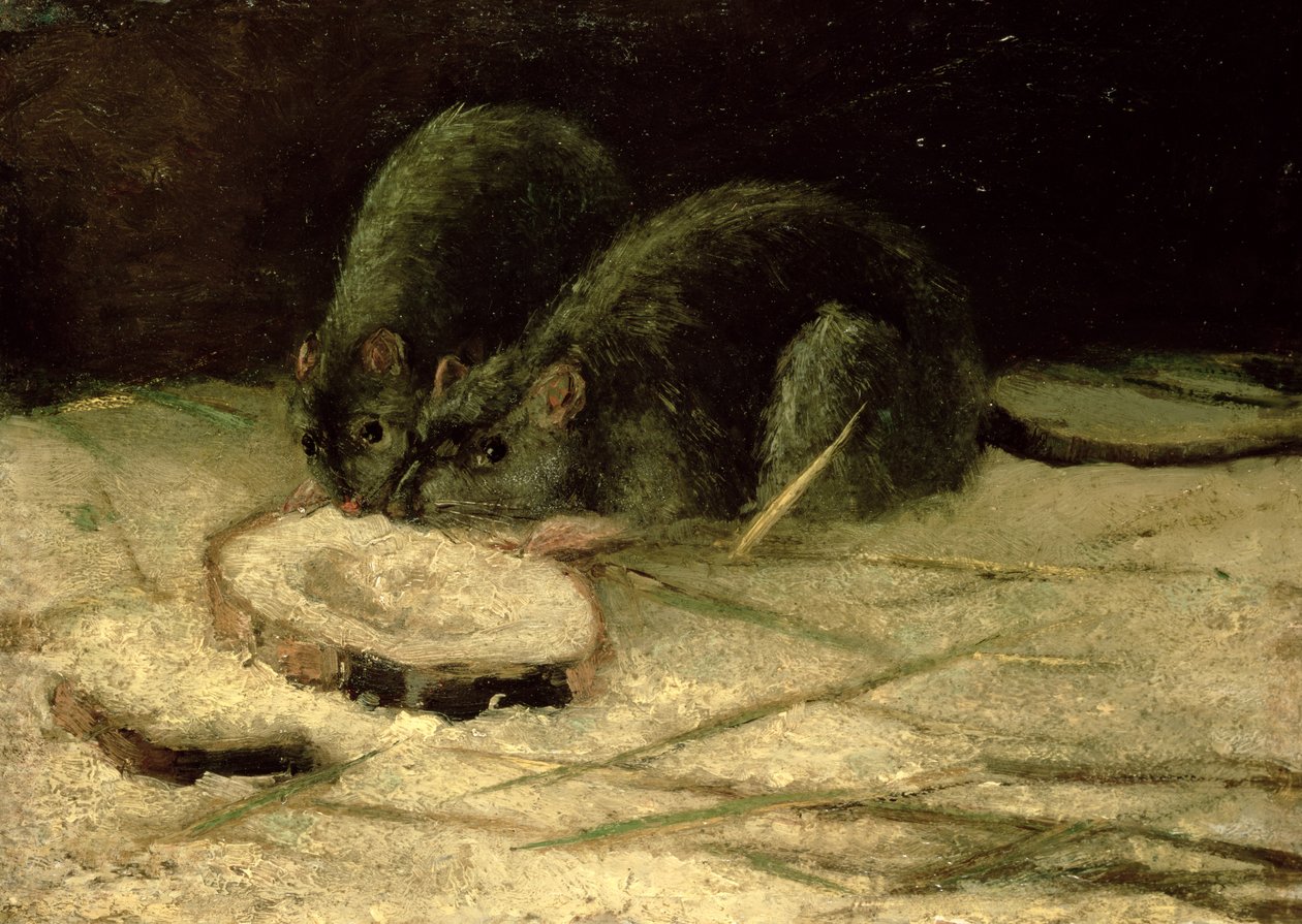 Dos ratas, c.1884 de Vincent van Gogh