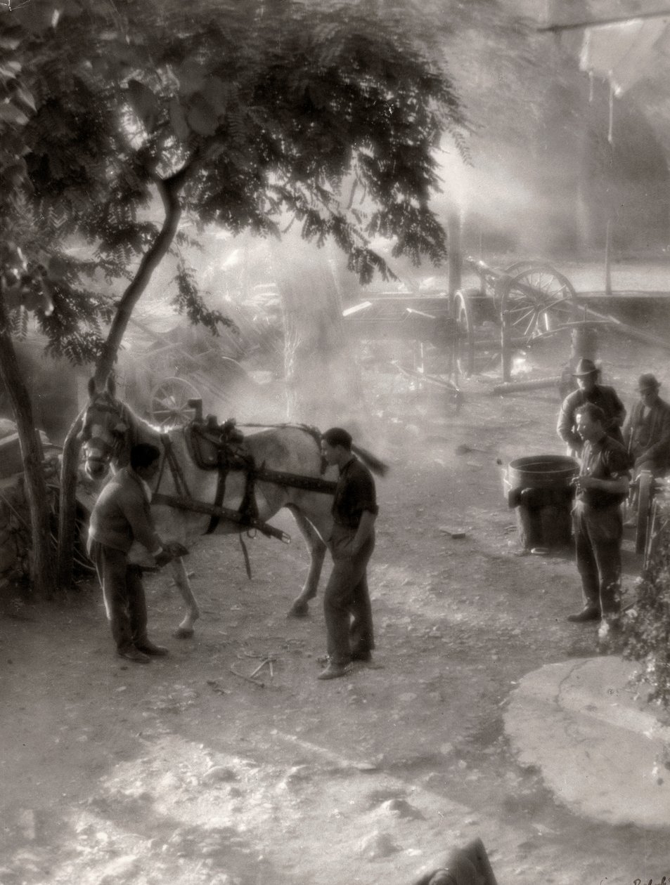 Herrar a los caballos, Italia de Vincenzo Balocchi