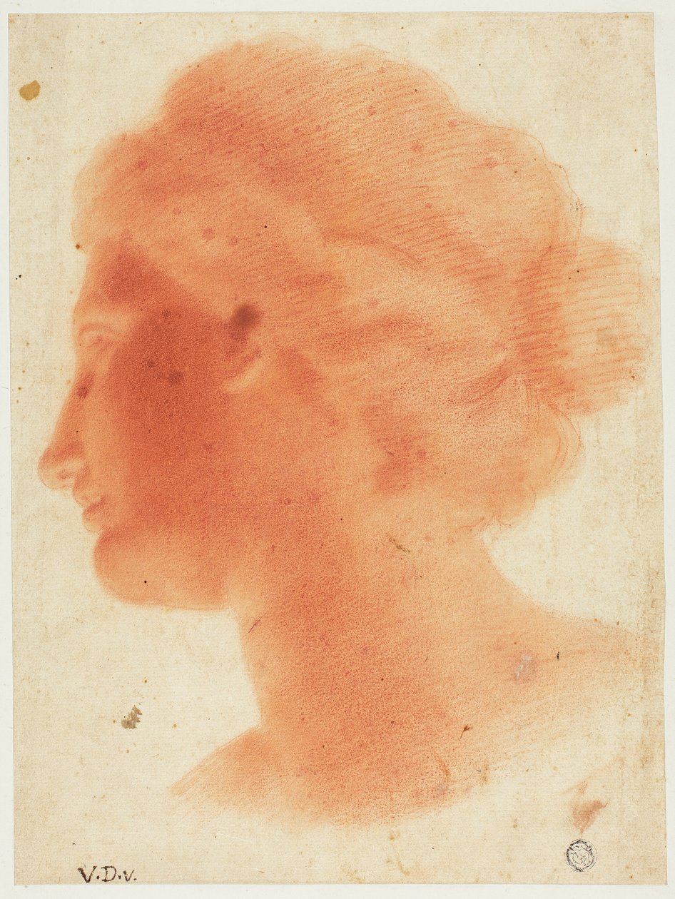 Cabeza de Venus de Médicis de Vincenzo Dandini
