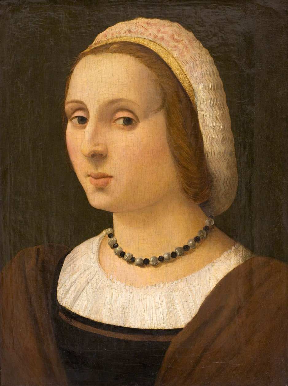 Retrato de una dama de Vincenzo Tamagni