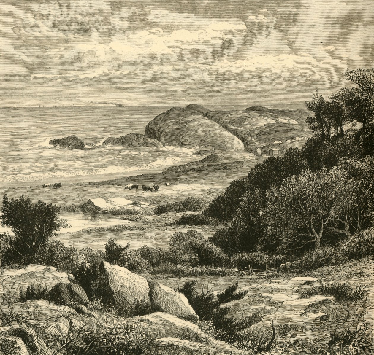 Vista distante del Purgatorio, 1872 de W. J. Linton