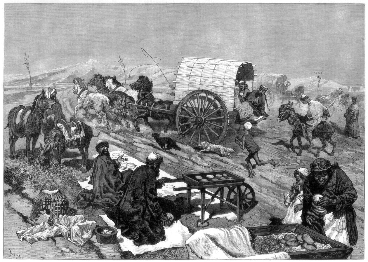 El ómnibus de las damas, Kashgar, Asia Central, 1875 de W. Palmer