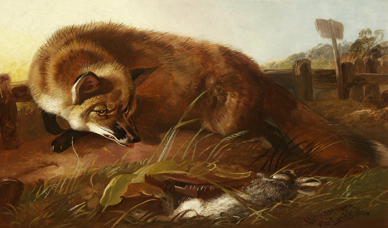 Zorro, c.1880 de Walter Harrowing