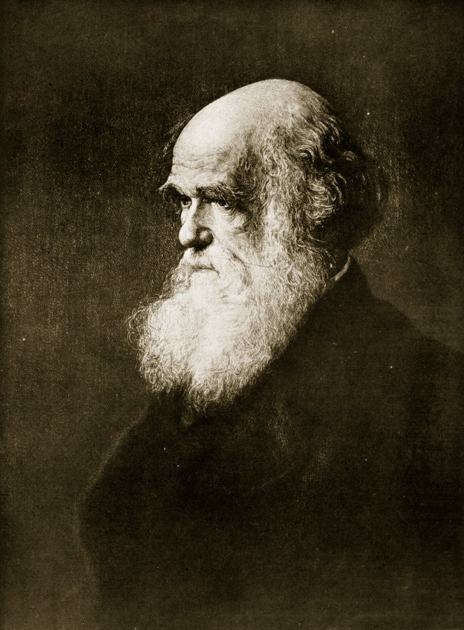 Charles Darwin, impresión después de la pintura de W.W. Ouless, ilustración de 