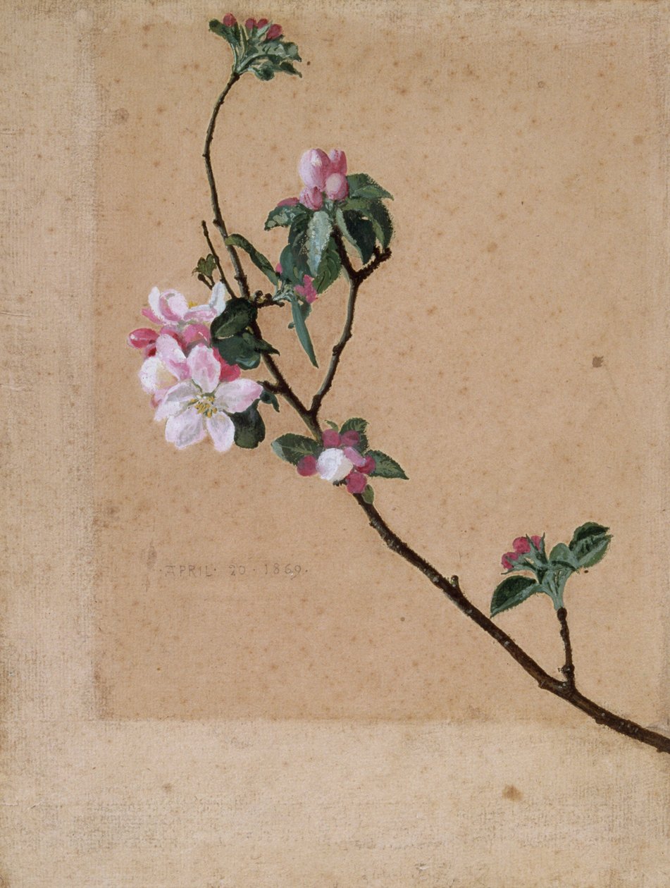 Flor de manzano de Walter Crane