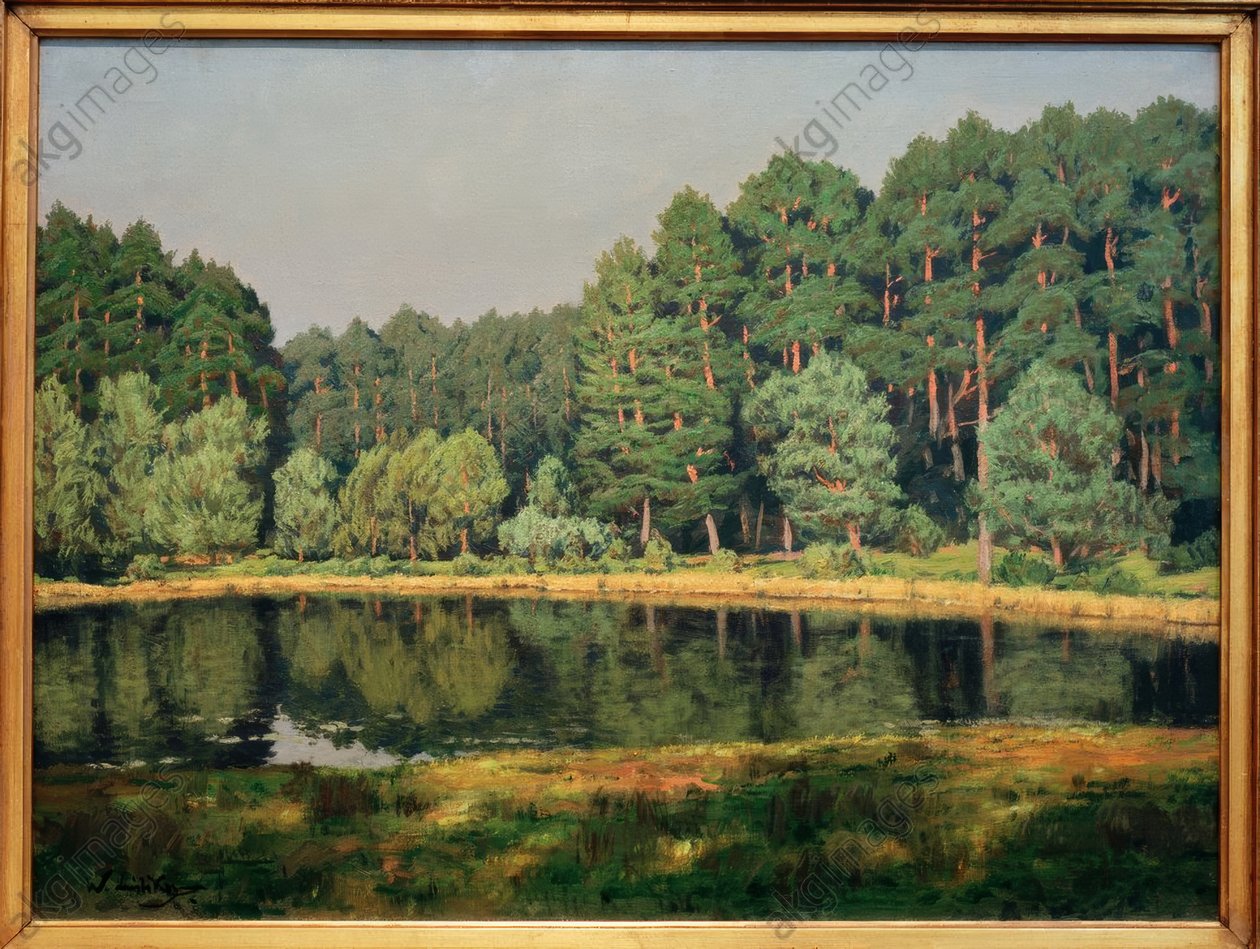 Paisaje forestal con un lago de Märkisch de Walter Leistikow