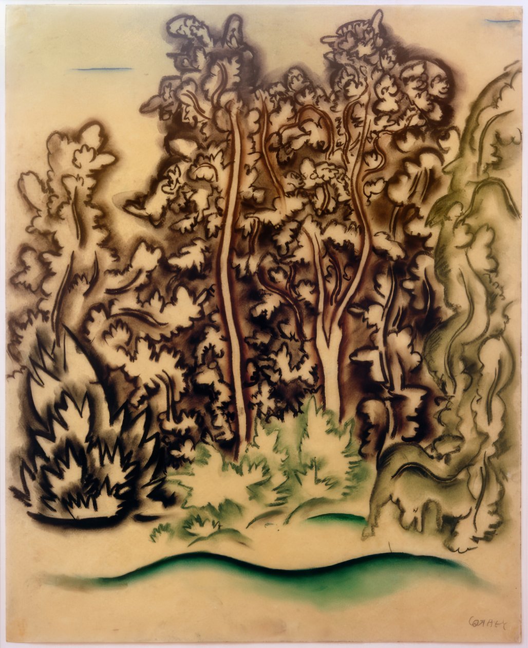 Grupo de árboles de Walter Ophey