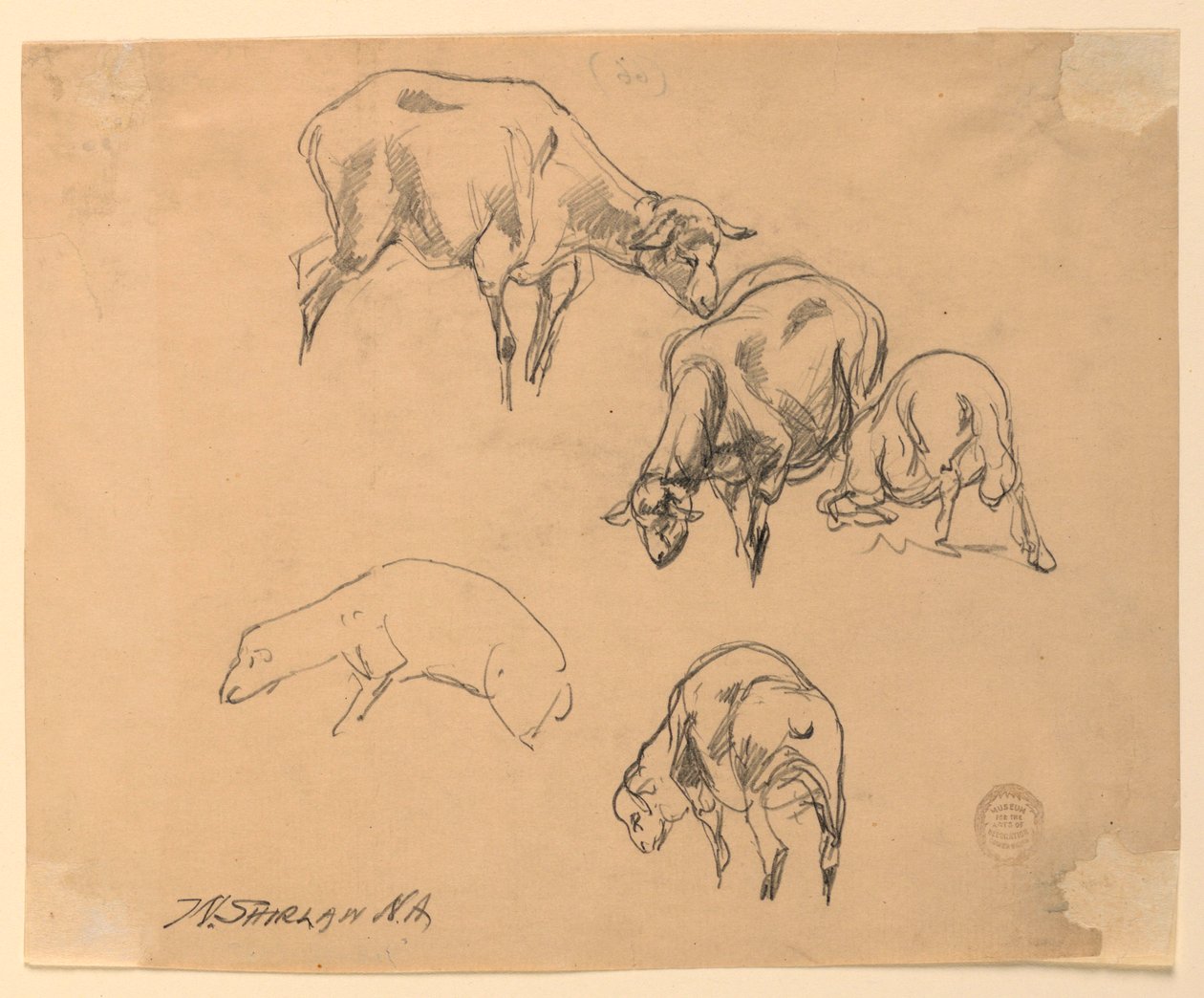 Estudios de Ovejas de Walter Shirlaw