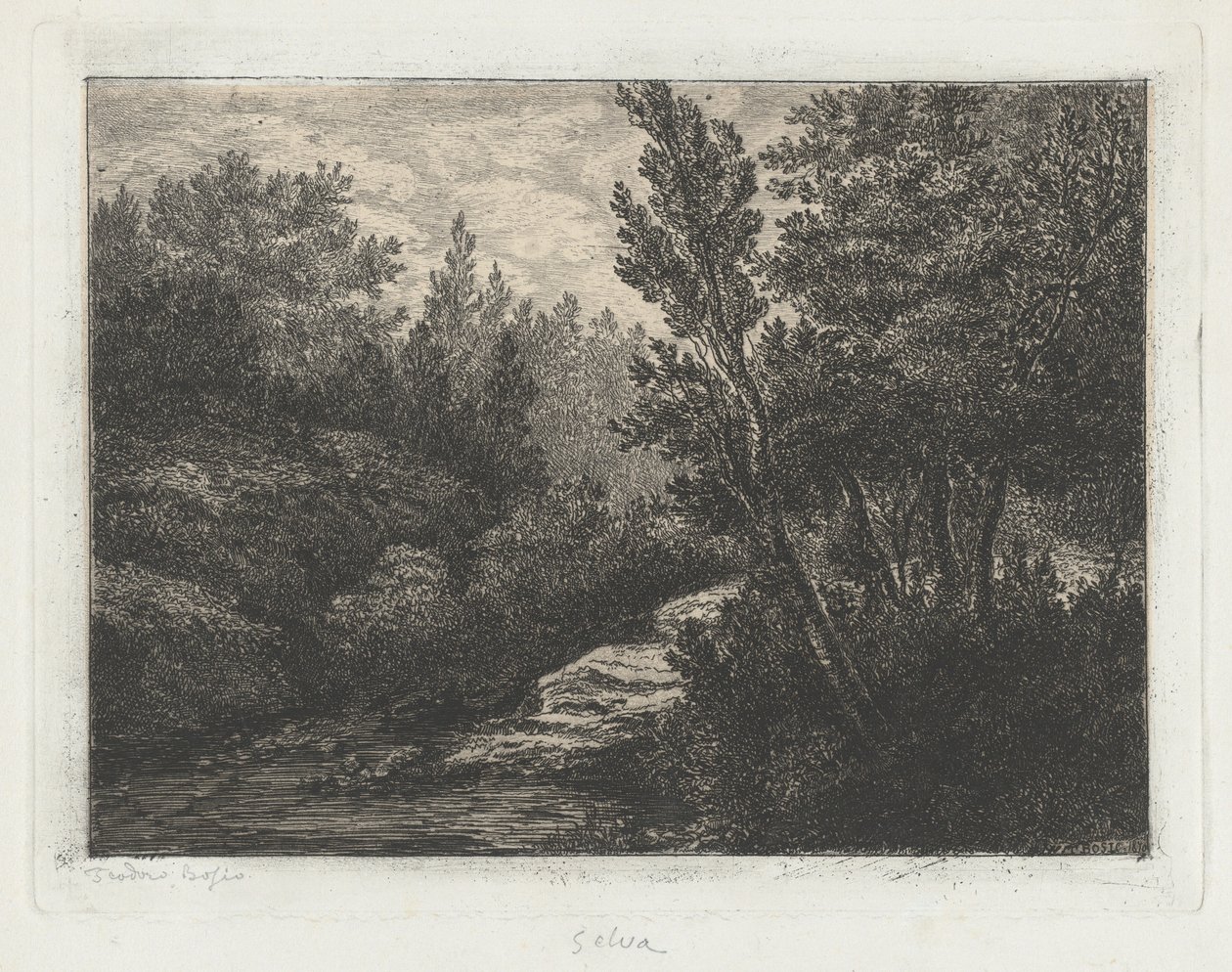 Selva de Walter Teodoro Bosio
