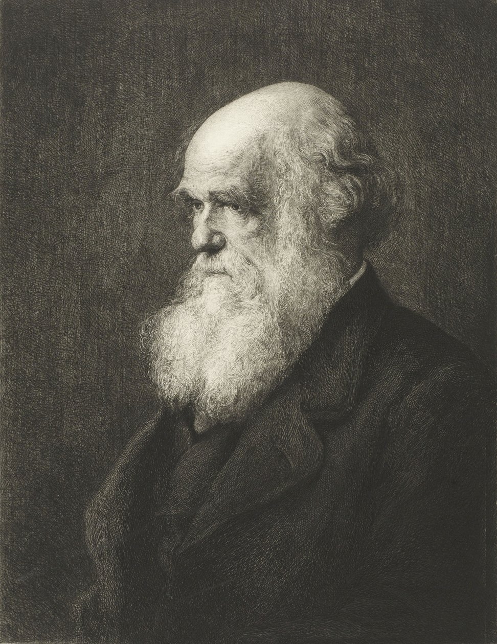 Charles Robert Darwin de Walter William (after) Ouless