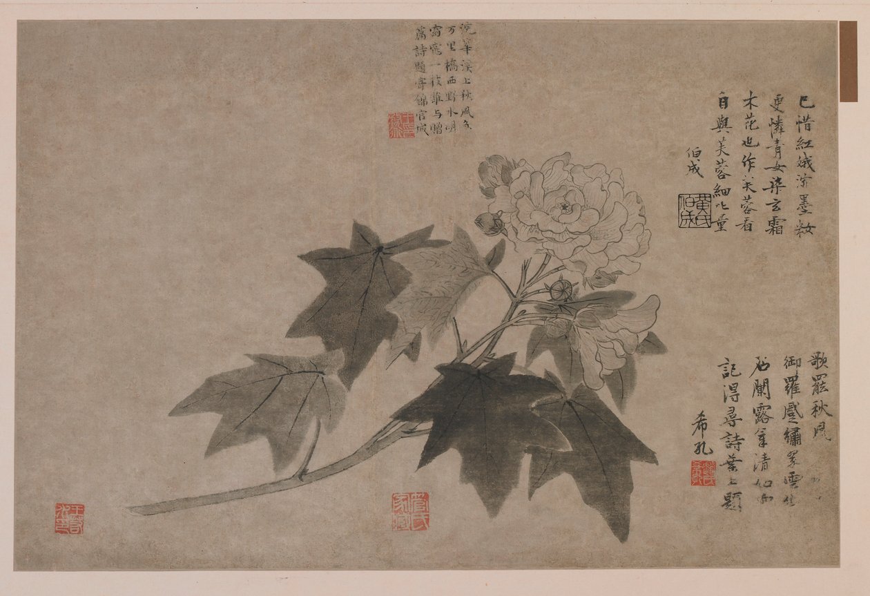 Hibisco, 1347 de Wang Yuan