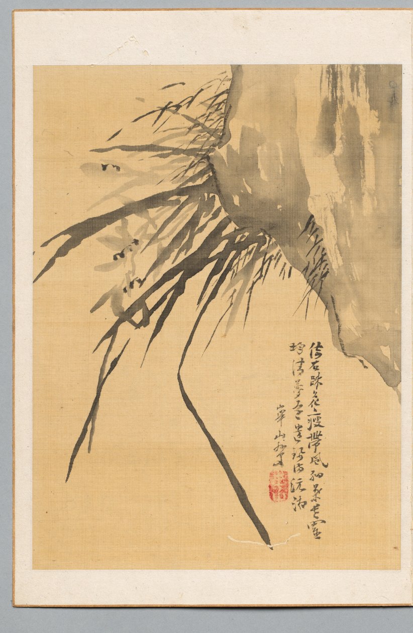 Orquídea, siglo XIX de Watanabe Kazan