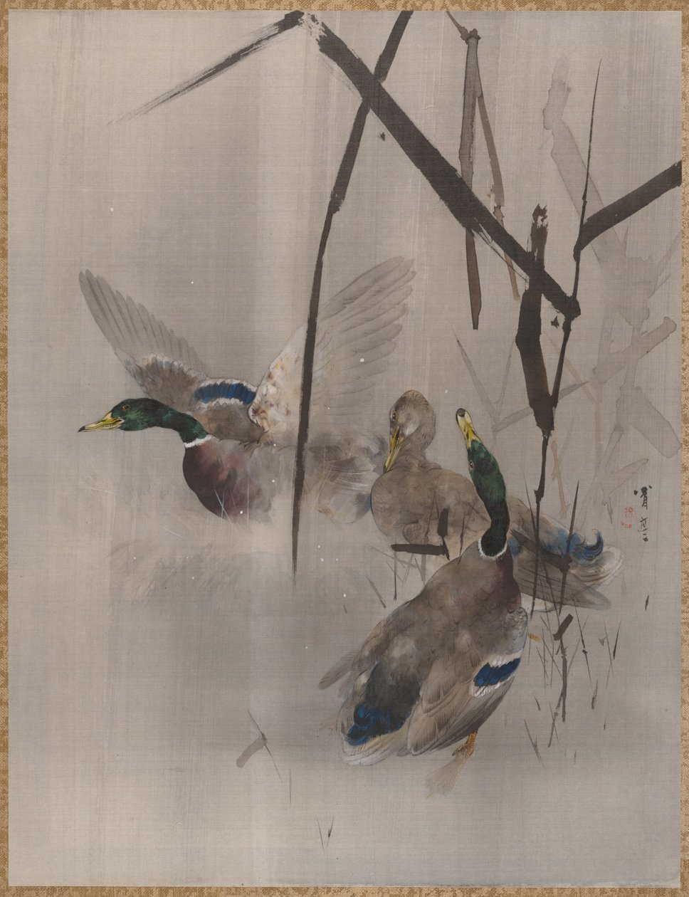 Patos en los juncos, ca. 1887 de Watanabe Seitei