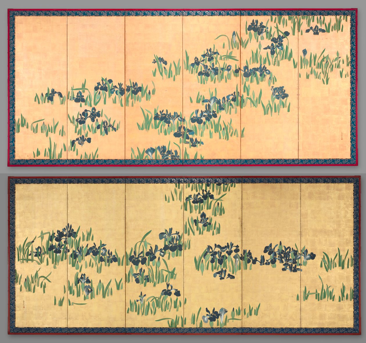 Iris de Watanabe Shiko
