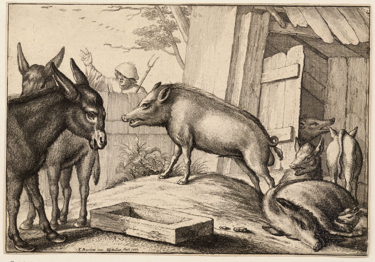 Cerdos y burros de Wenceslaus Hollar