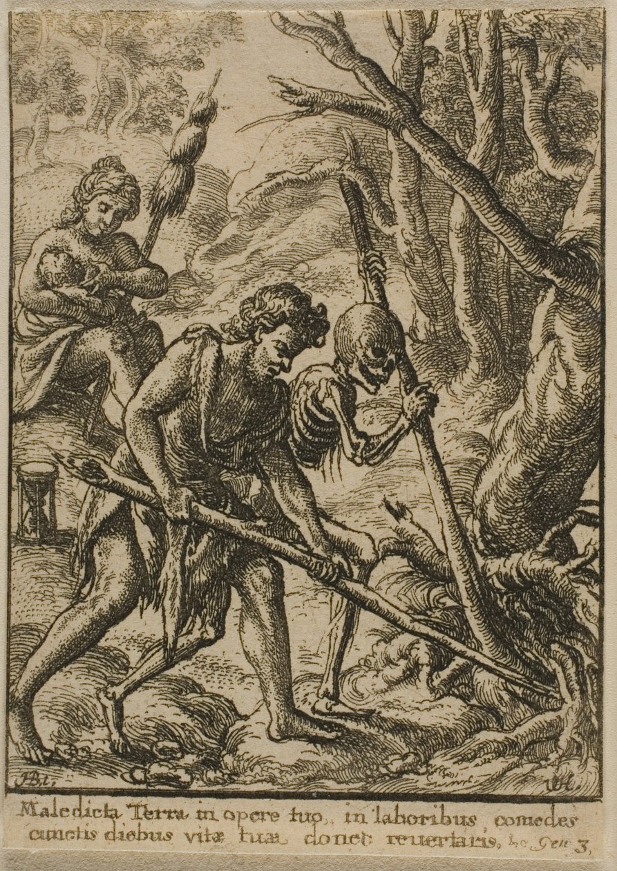 Adán arando de Wenceslaus Hollar