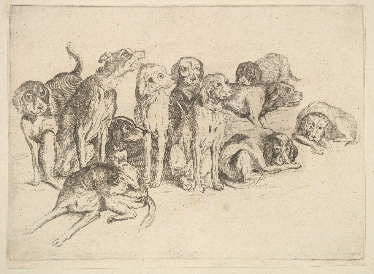 Once Perros de Wenceslaus Hollar