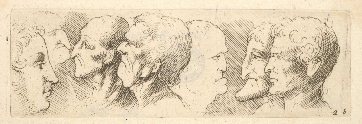 Estudios de cabezas, 1625-77 de Wenceslaus Hollar