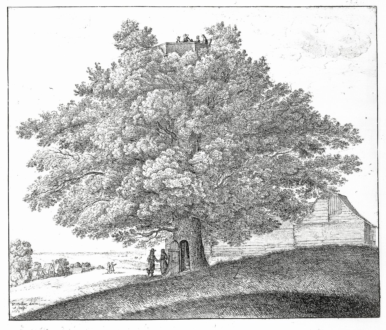 Árbol Hueco en Hampstead, 1663 de Wenceslaus Hollar