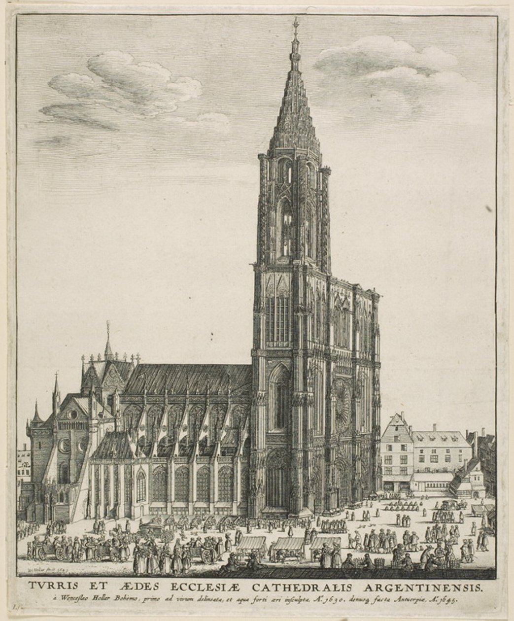 Catedral de Estrasburgo de Wenceslaus Hollar