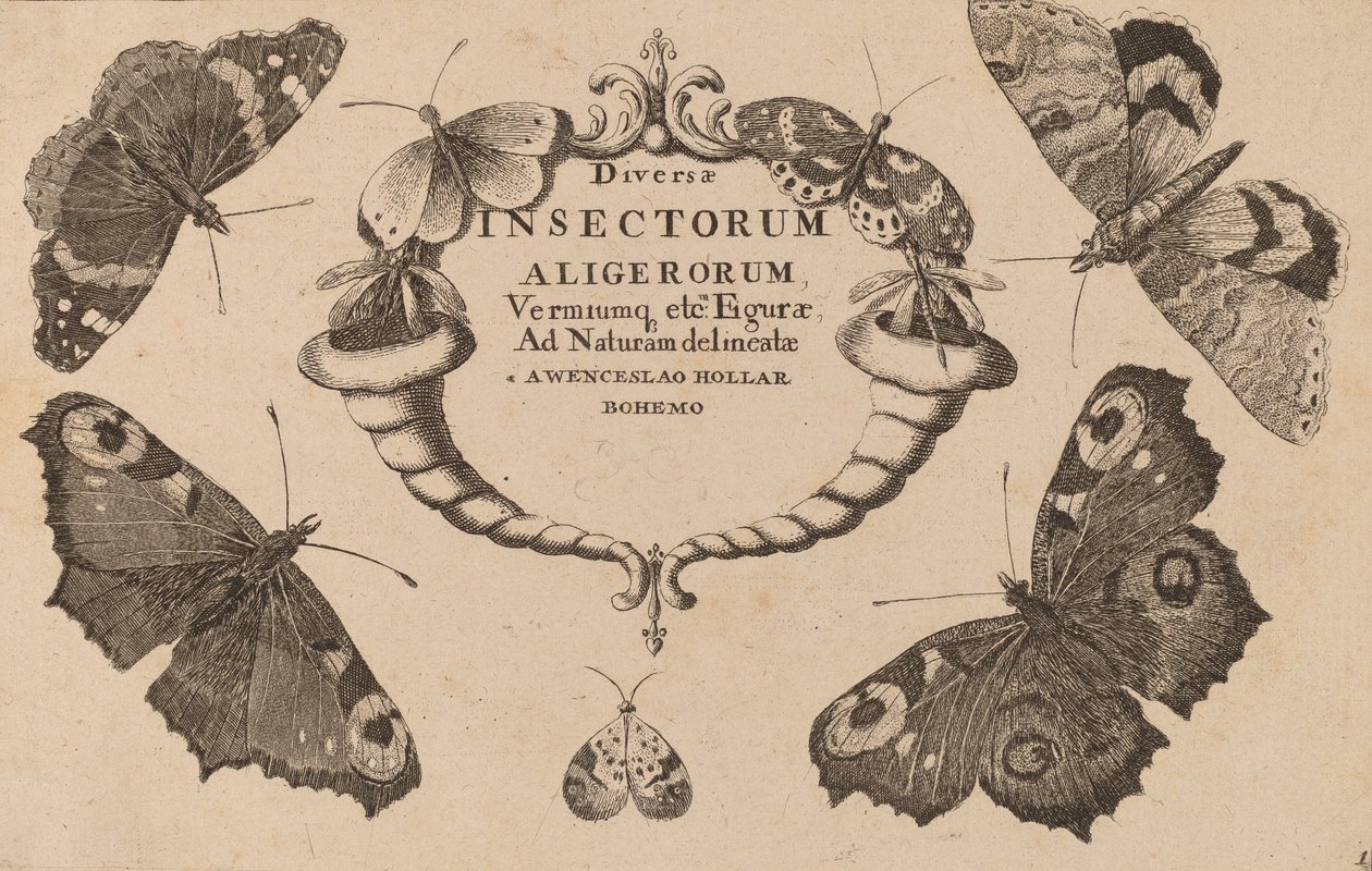 Página de título de Wenceslaus Hollar