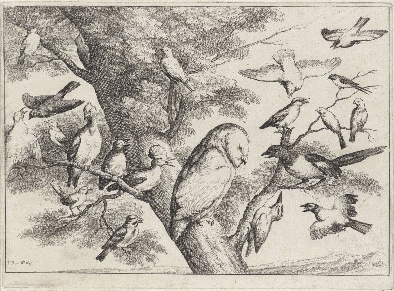 pájaros en un árbol Aves diferentes (título de la serie) de Wenceslaus Hollar