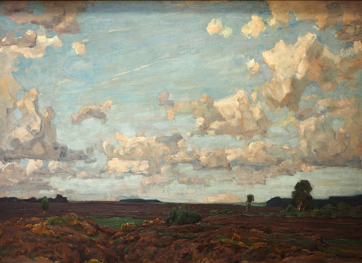Abend auf der Heide de Wilhelm Feldmann
