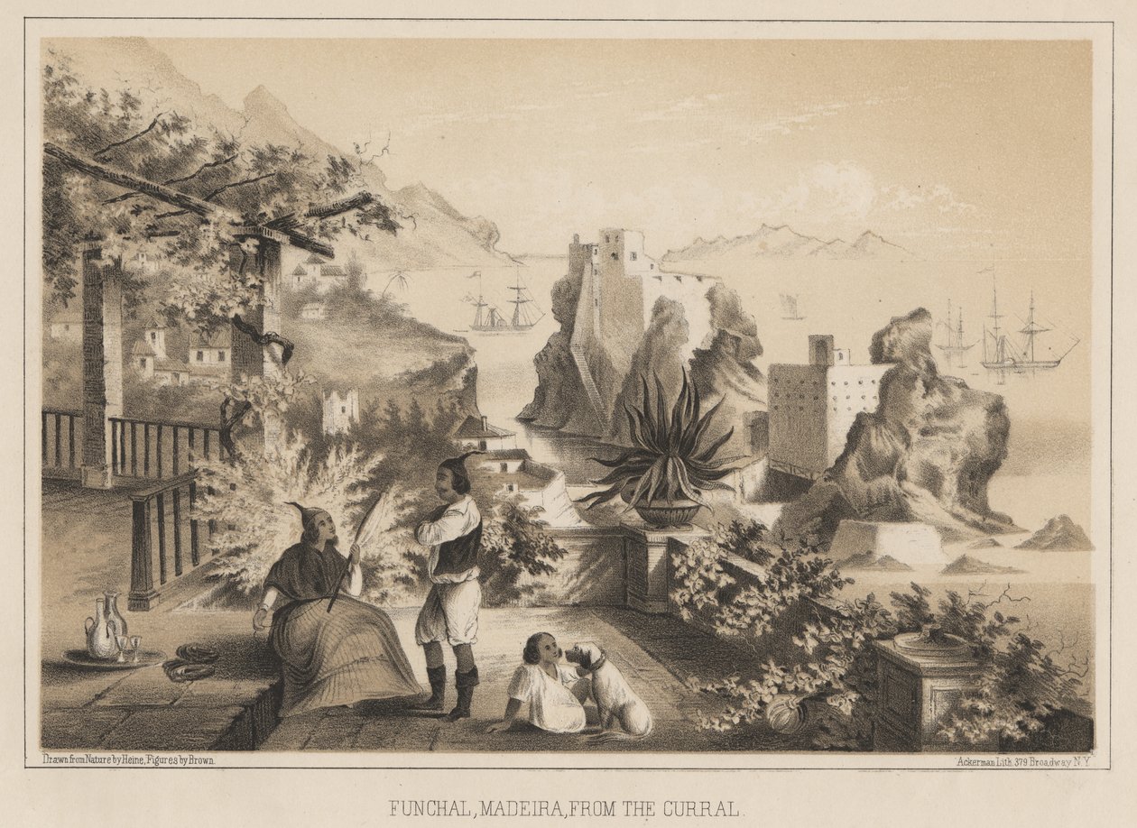 Funchal, Madeira, desde el Curral, 1885 de Wilhelm Joseph Heine