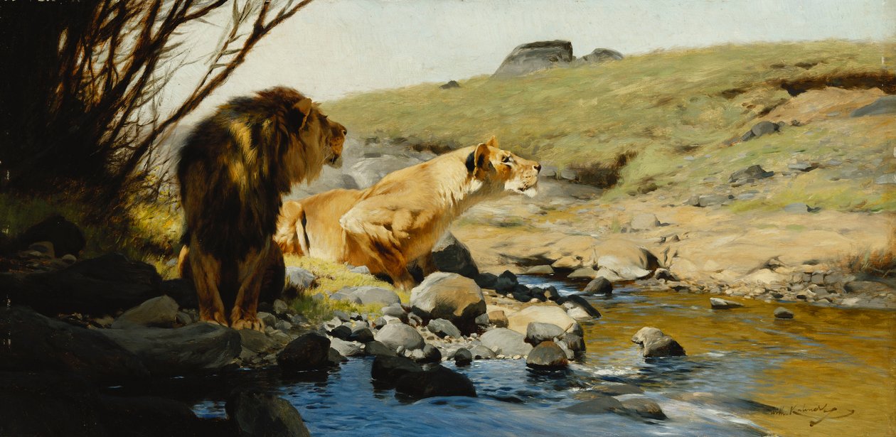 Un león y una leona en un arroyo de Wilhelm Kuhnert