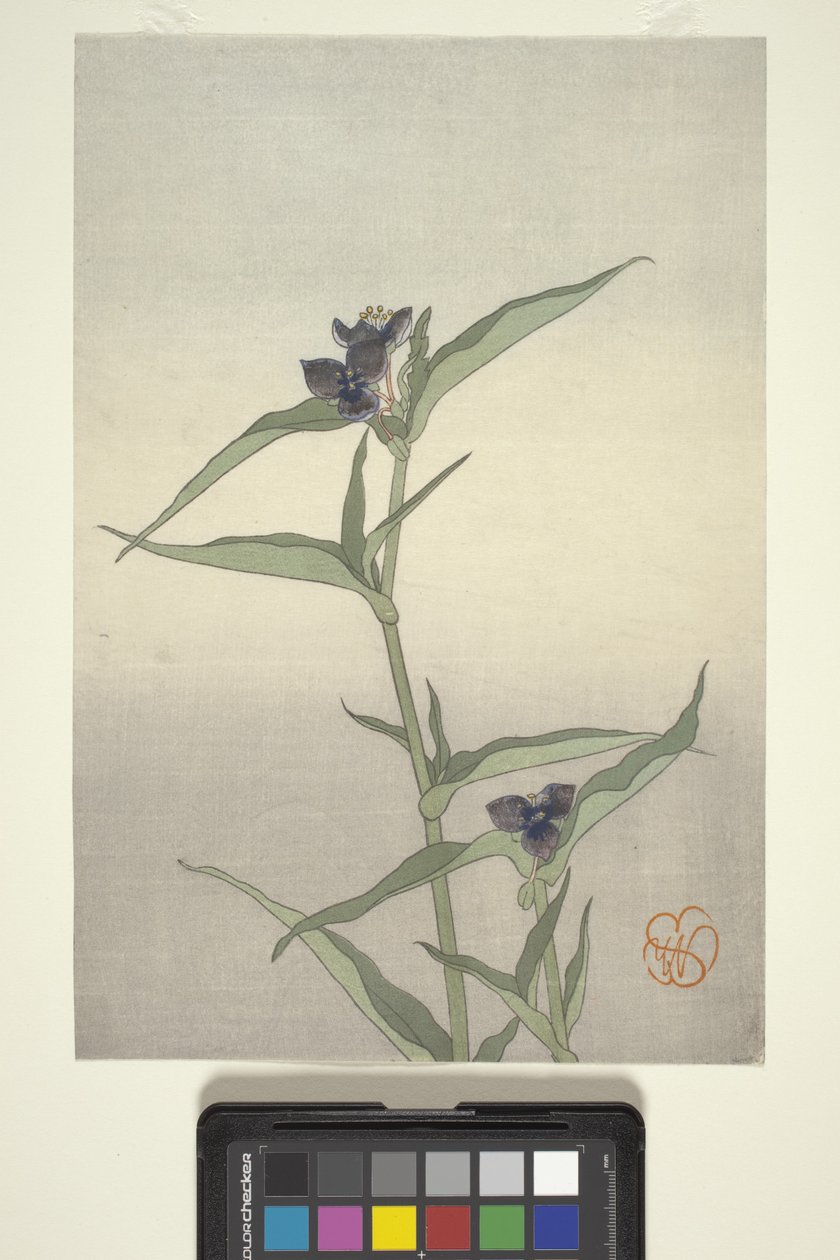 Estudio floral, c.1908 (xilografía en color) de Wilhelmina Seegmiller