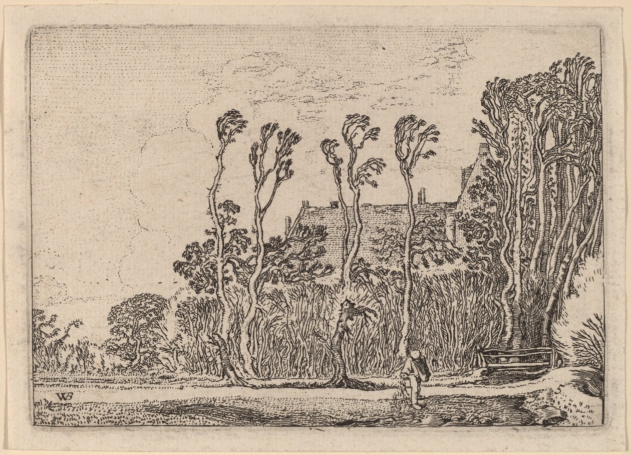 El sembrador de Willem Buytewech