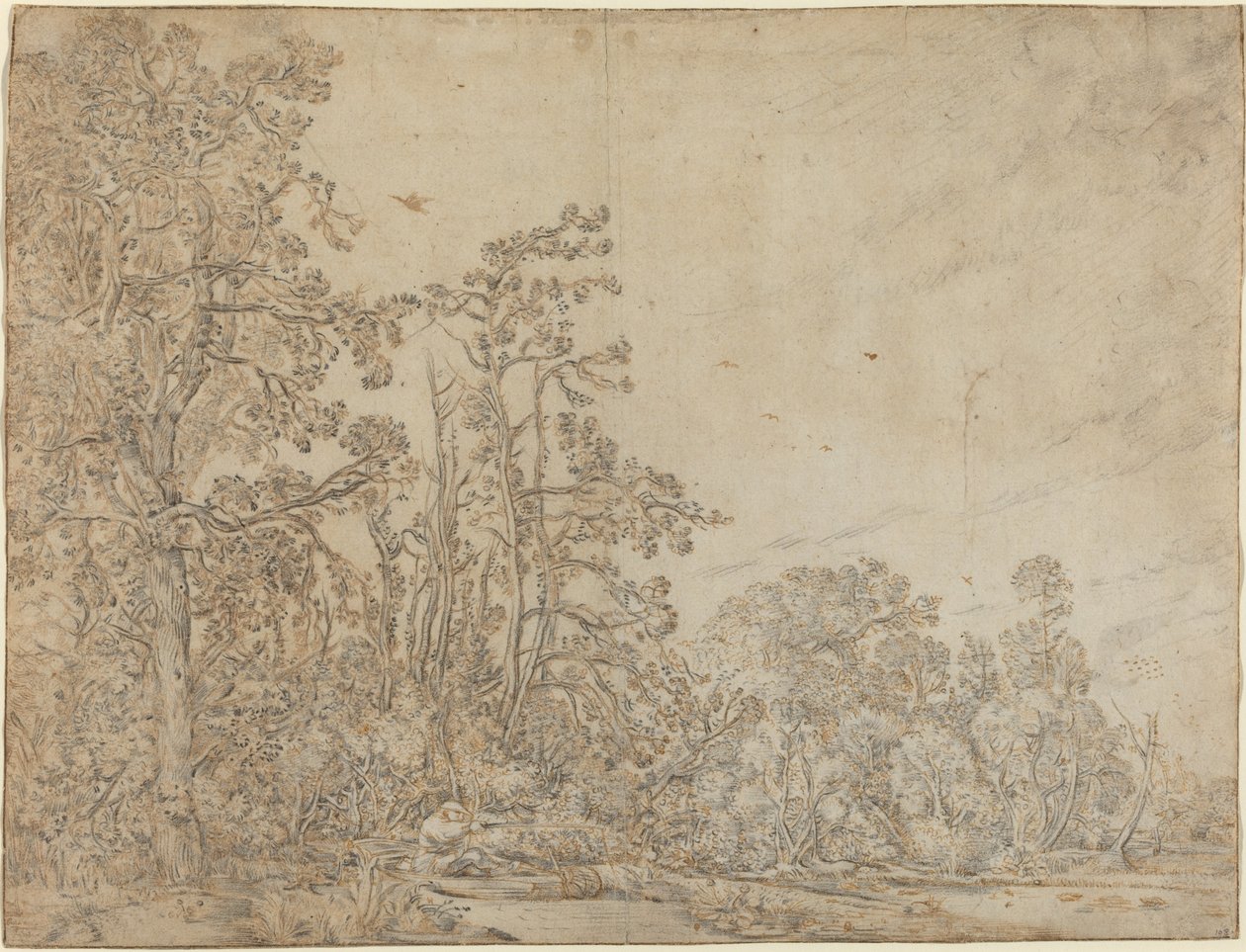 Estanque en el Bosque con un Pescador de Willem Buytewech