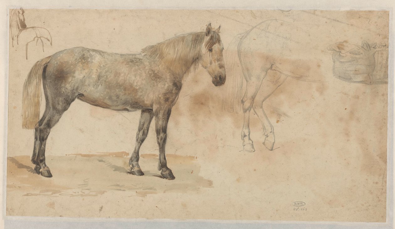 Estudios de un caballo de Willem Carel Nakken