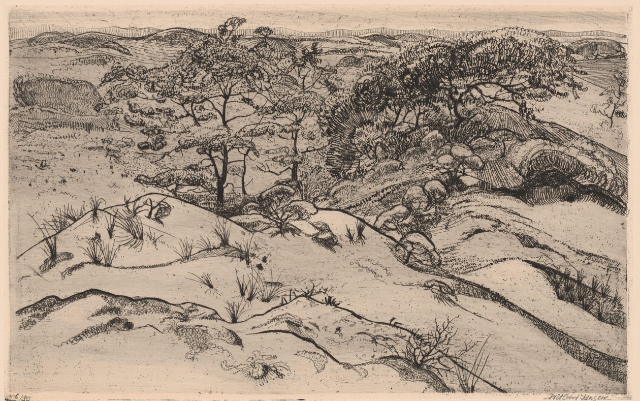 Paisaje de dunas de Willem Jansen (graveur) (signed by artist)
