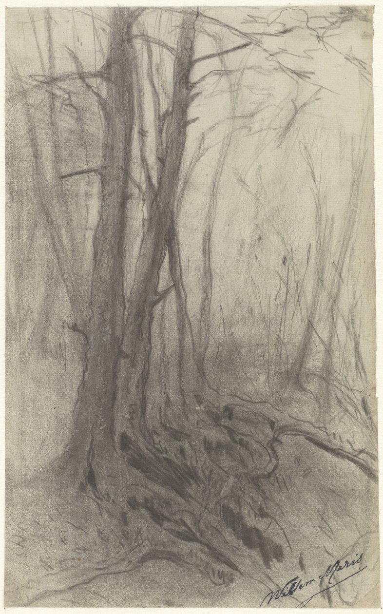 Árboles en un bosque de Willem Maris