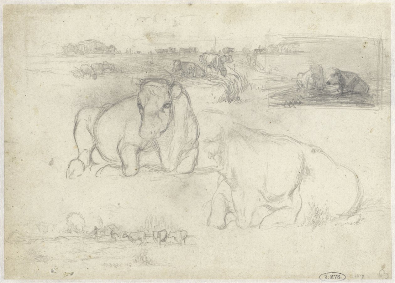 Bocetos de vacas de Willem Maris
