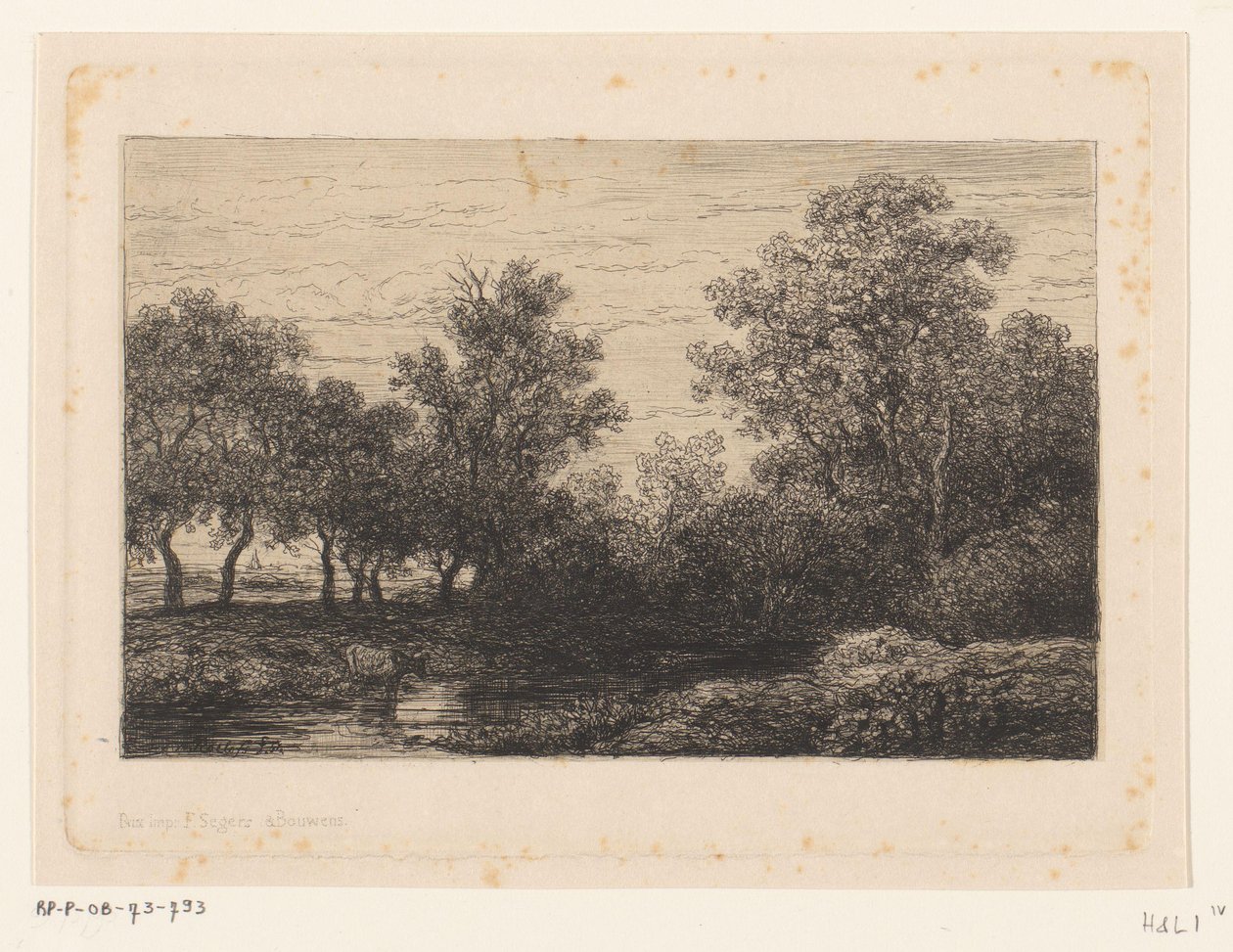 abeja de Willem Roelofs (I)