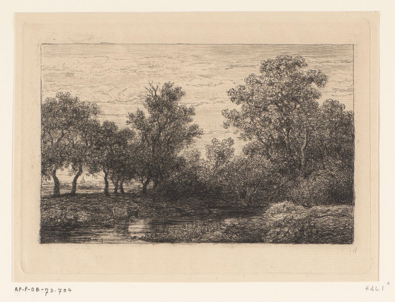 abeja de Willem Roelofs (I)
