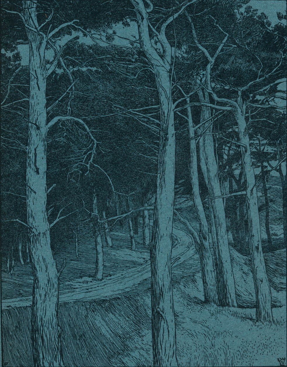 Bosque, c. 1912 de Willem Wenckebach