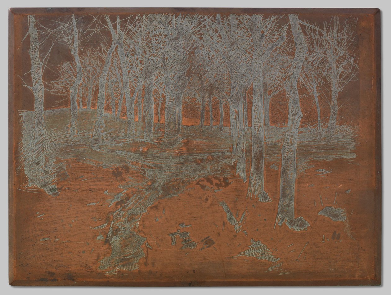 Bosque en Ewijkshoeve de Willem Arnoldus Witsen