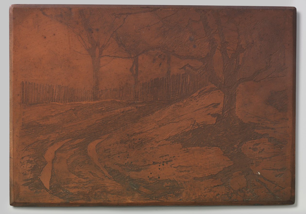 camino de dunas de Willem Arnoldus Witsen