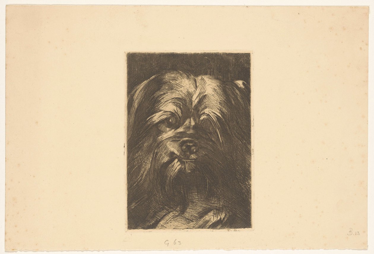 Hond Phoebus de Willem Arnoldus Witsen