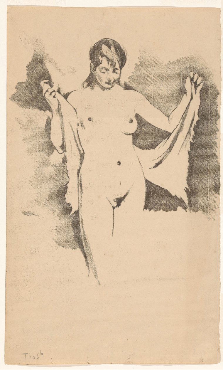 Mujer desnuda de pie secándose de Willem Arnoldus Witsen