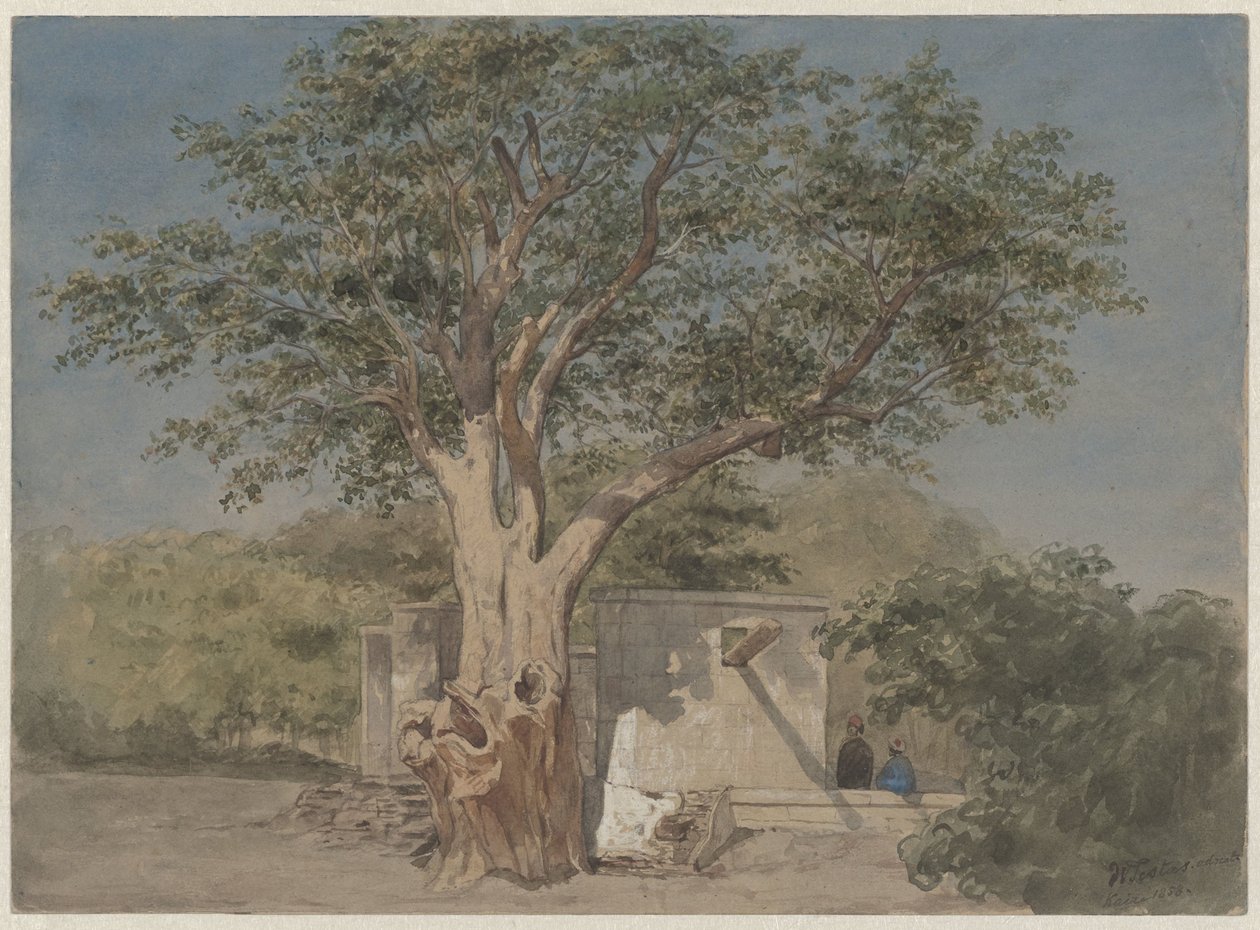 Cabaña bajo un árbol en El Cairo de Willem de Famars Testas