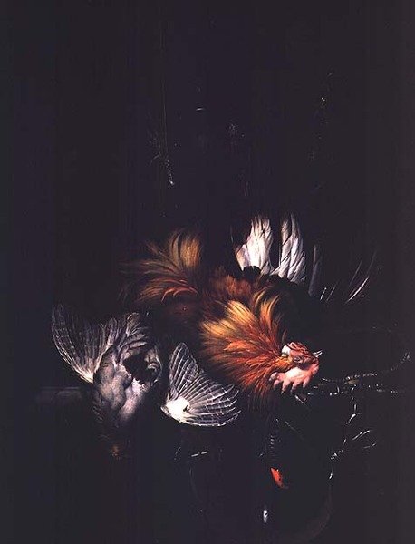 Imagen desconocida de Willem van Aelst