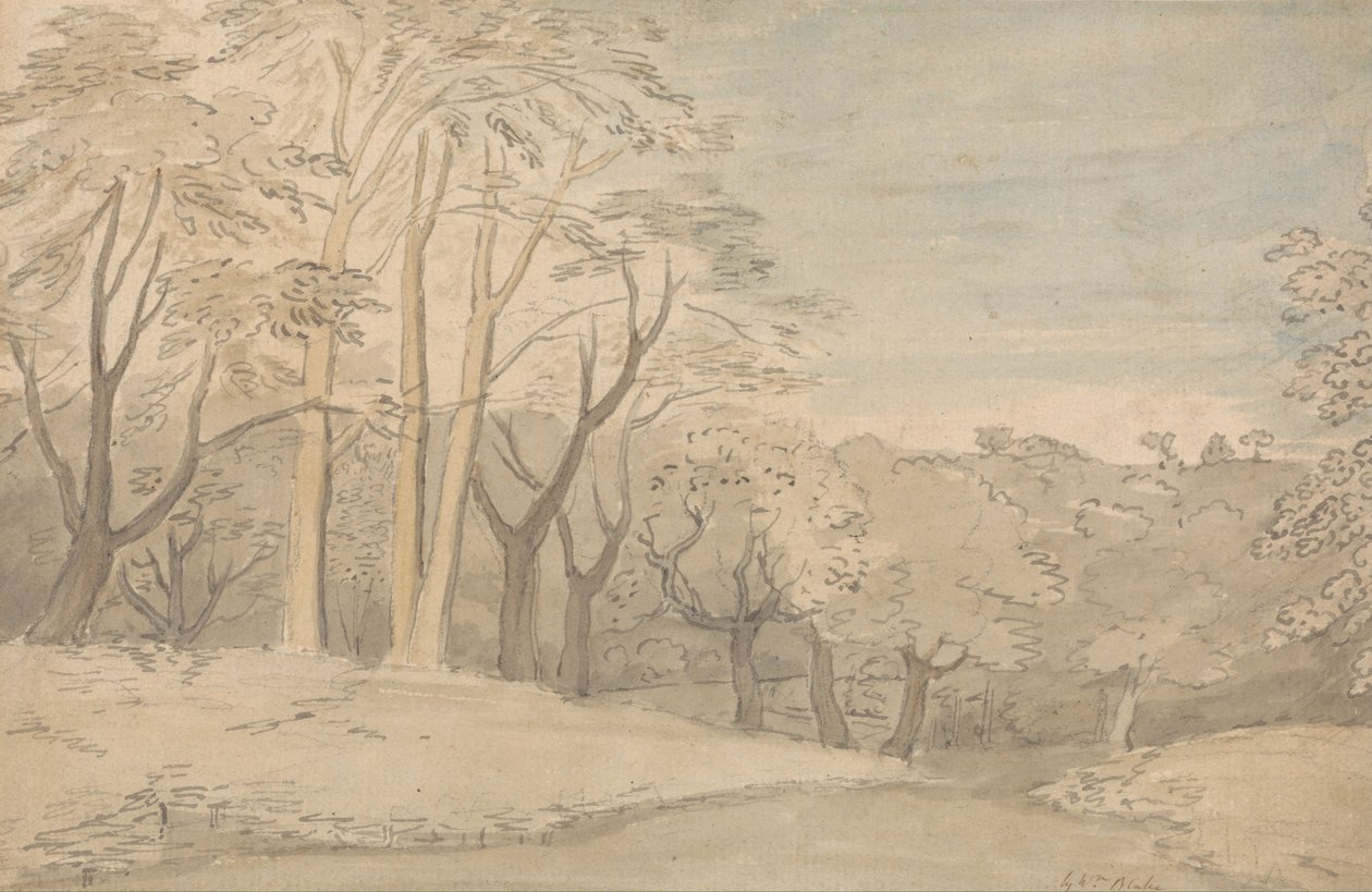 Un paisaje boscoso de William Blake