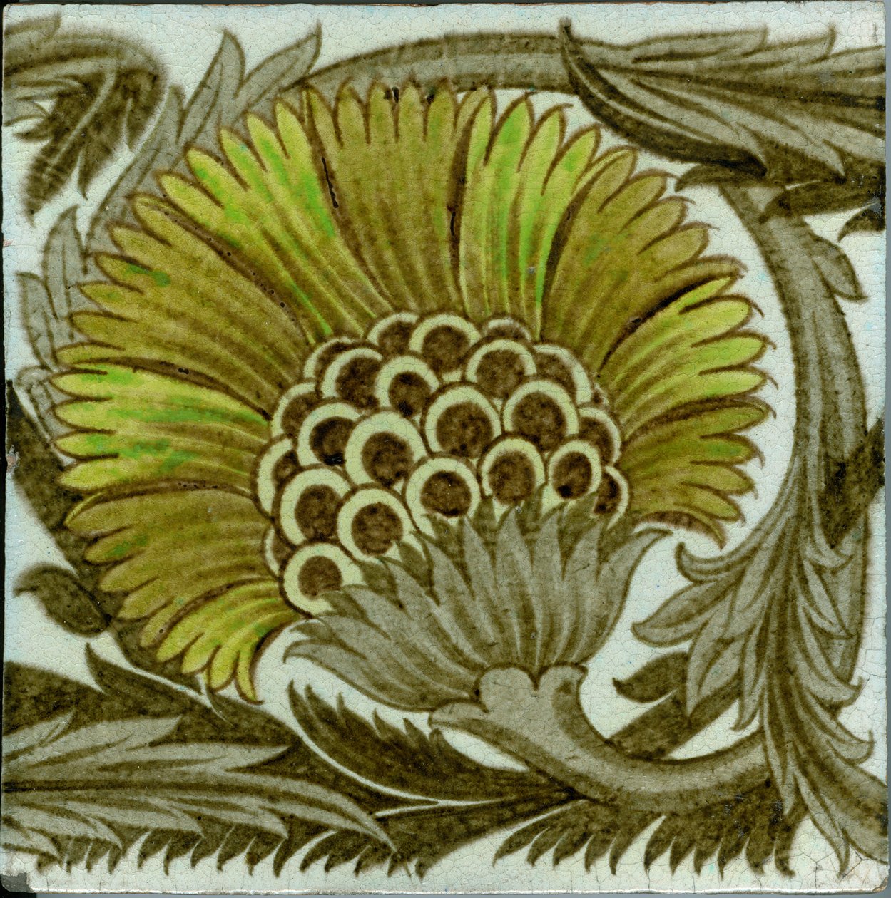 Azulejo de patrón 
